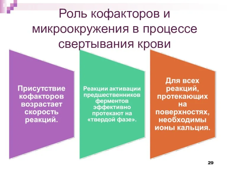 Роль кофакторов и микроокружения в процессе свертывания крови