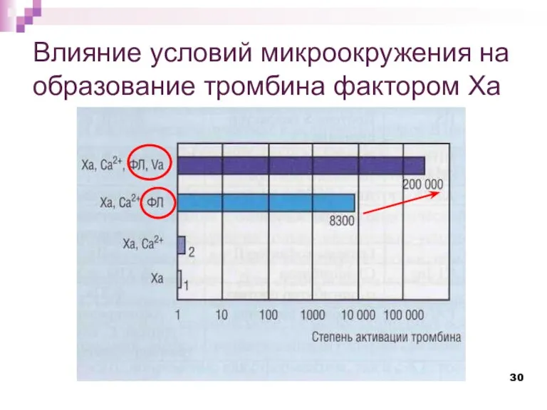 Влияние условий микроокружения на образование тромбина фактором Ха