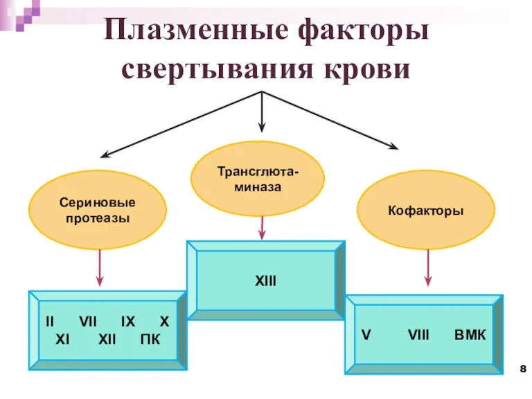 Плазменные факторы свертывания крови II VII IX X XI XII