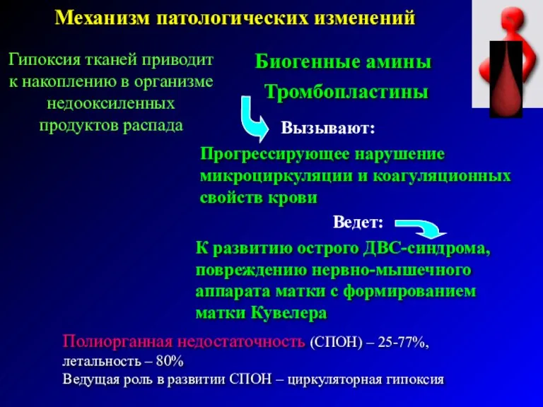 Биогенные амины Тромбопластины Вызывают: Ведет: Прогрессирующее нарушение микроциркуляции и коагуляционных