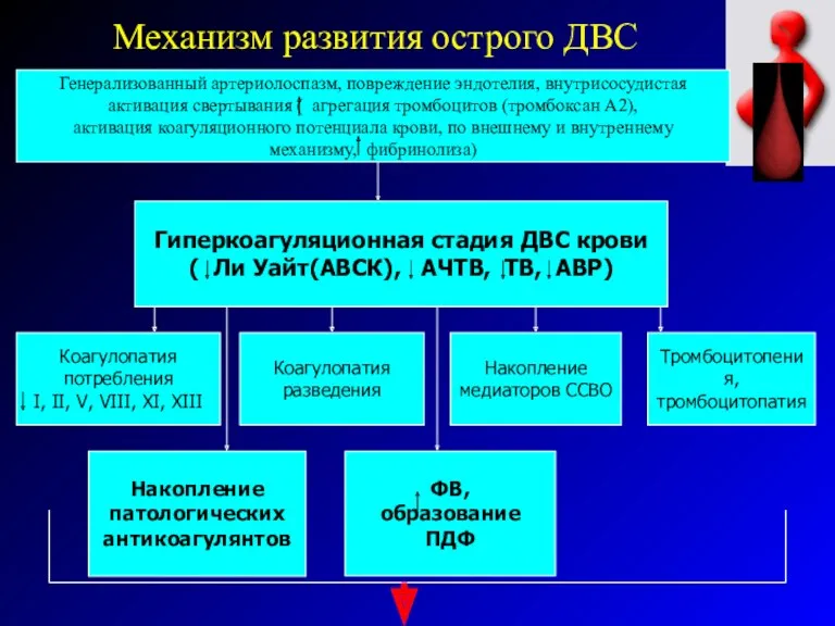 Механизм развития острого ДВС Гиперкоагуляционная стадия ДВС крови ( Ли