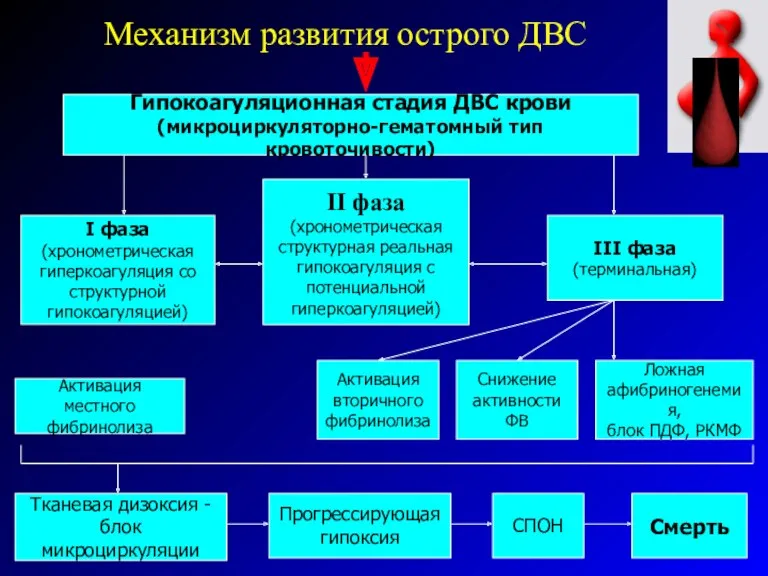 Механизм развития острого ДВС Гипокоагуляционная стадия ДВС крови (микроциркуляторно-гематомный тип