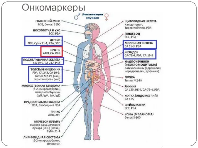 Онкомаркеры