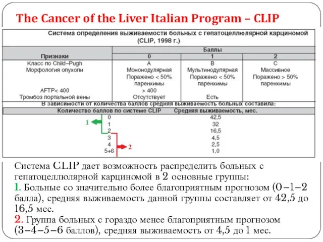 The Cancer of the Liver Italian Program – CLIP Система