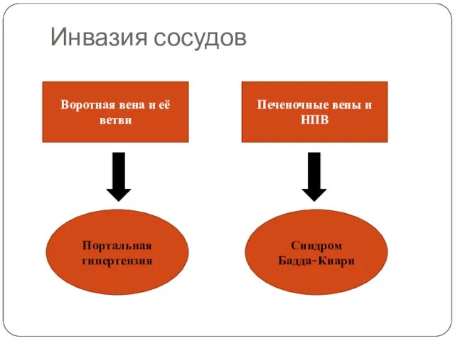 Инвазия сосудов Воротная вена и её ветви Печеночные вены и НПВ Портальная гипертензия Синдром Бадда-Киари