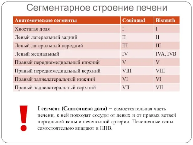 Сегментарное строение печени I сегмент (Cпигелиева доля) – самостоятельная часть