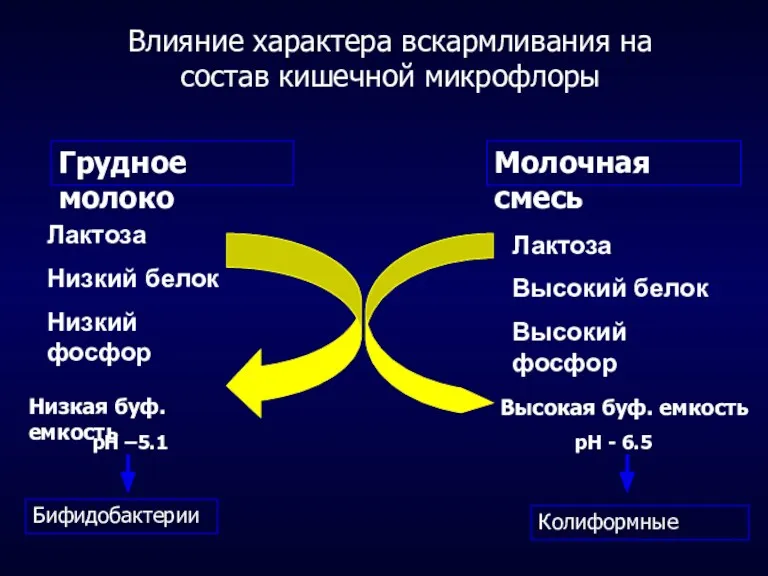 Грудное молоко Молочная смесь Лактоза Низкий белок Низкий фосфор Бифидобактерии