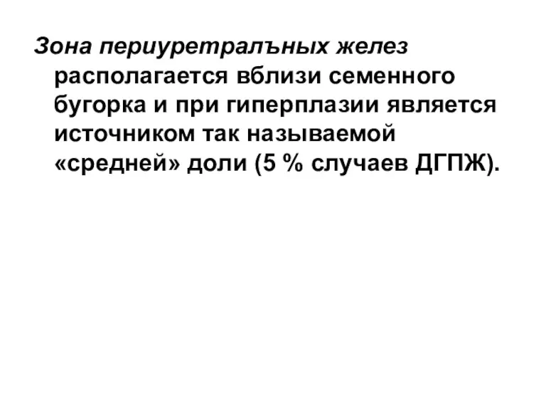 Зона периуретралъных желез располагается вблизи семенного бугорка и при гиперплазии