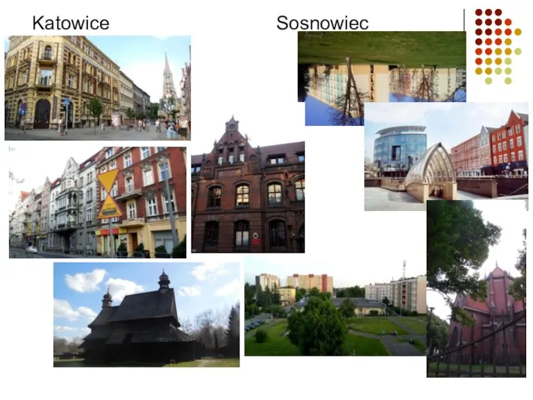 Katowice Sosnowiec
