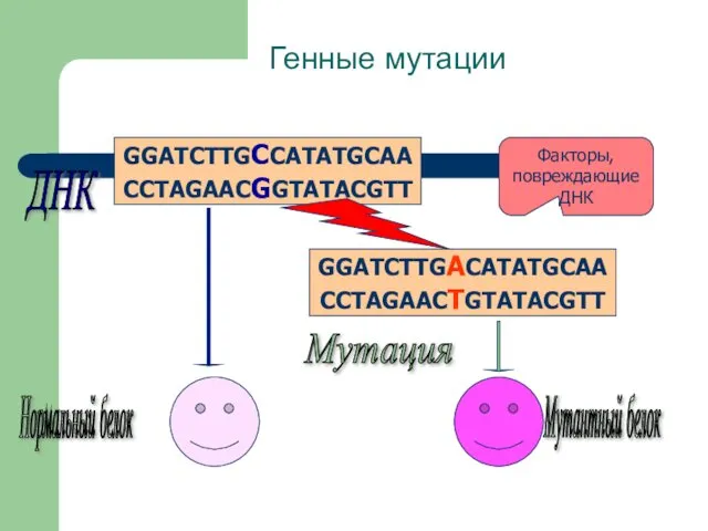 Генные мутации