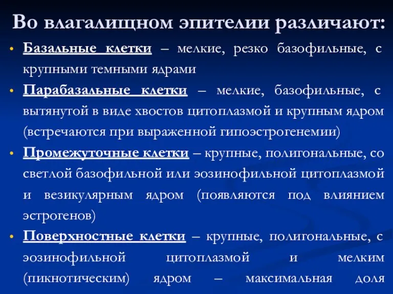 Во влагалищном эпителии различают: Базальные клетки – мелкие, резко базофильные,