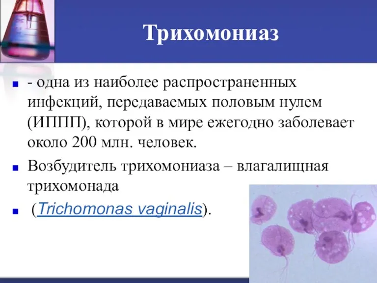 Трихомониаз - одна из наиболее распространенных инфекций, передаваемых половым нулем (ИППП), которой в