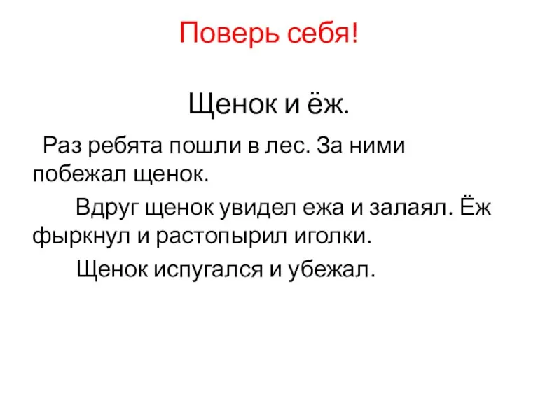 Поверь себя! Щенок и ёж. Раз ребята пошли в лес.