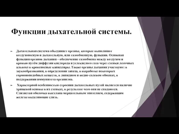 Функции дыхательной системы. Дыхательная система объединяет органы, которые выполняют воздухоносную