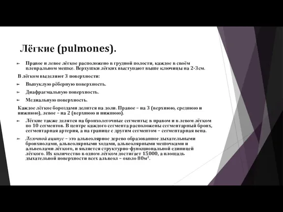 Лёгкие (pulmones). Правое и левое лёгкое расположено в грудной полости,