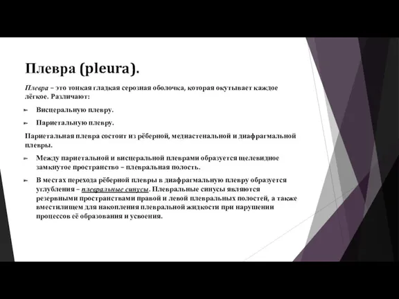 Плевра (pleura). Плевра – это тонкая гладкая серозная оболочка, которая