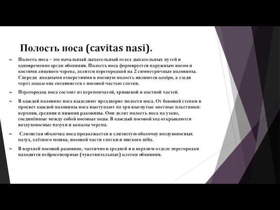 Полость носа (cavitas nasi). Полость носа – это начальный дыхательный