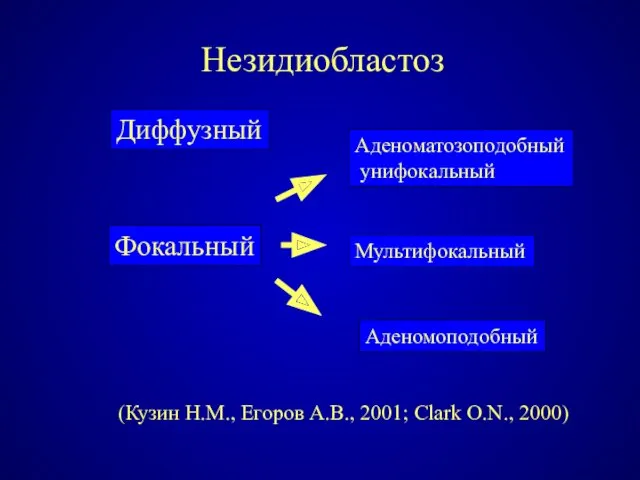 Незидиобластоз Диффузный (Кузин Н.М., Егоров А.В., 2001; Clark O.N., 2000)