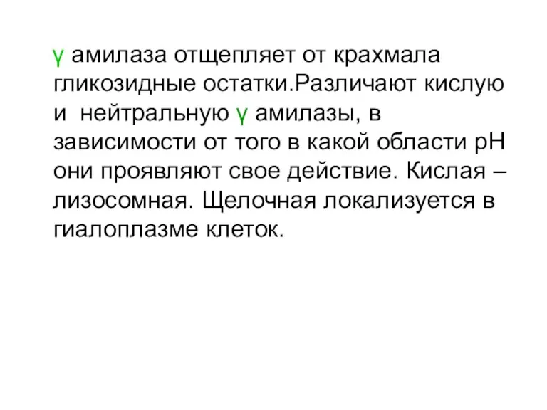 γ амилаза отщепляет от крахмала гликозидные остатки.Различают кислую и нейтральную