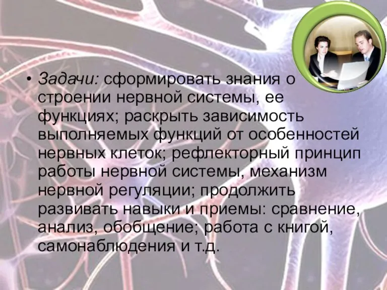 Задачи: сформировать знания о строении нервной системы, ее функциях; раскрыть