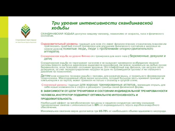 Три уровня интенсивности скандинавской ходьбы СКАНДИНАВСКАЯ ХОДЬБА доступна каждому человеку,