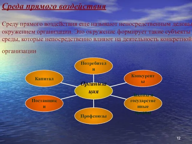 Среда прямого воздействия Среду прямого воздействия еще называют непосредственным деловым