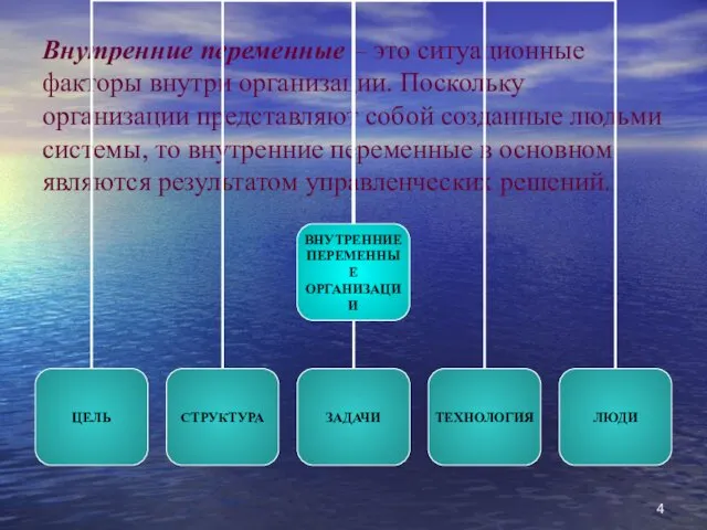 Внутренние переменные – это ситуационные факторы внутри организации. Поскольку организации