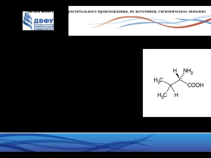 Белки животного и растительного происхождения, их источники, гигиеническое значение Валин