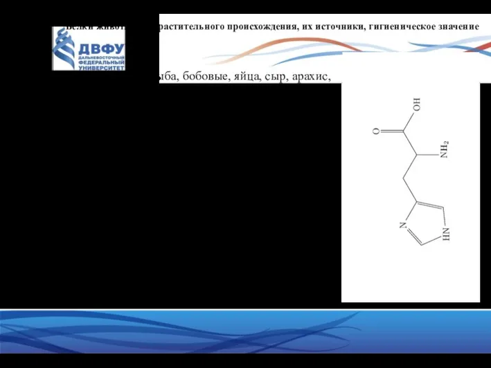 Белки животного и растительного происхождения, их источники, гигиеническое значение Гистидин
