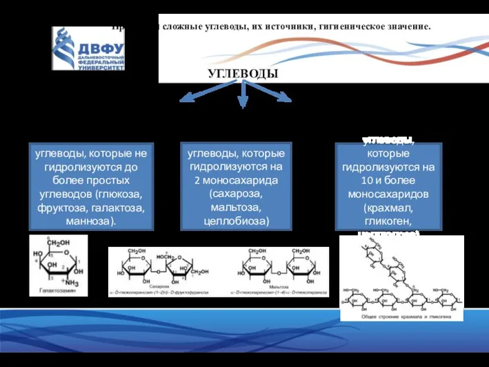 Простые и сложные углеводы, их источники, гигиеническое значение. УГЛЕВОДЫ моносахариды