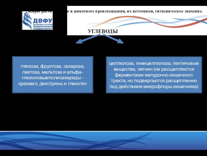 Жиры растительного и животного происхождения, их источники, гигиеническое значение. УГЛЕВОДЫ