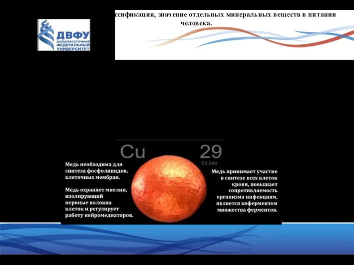 Определение, классификация, значение отдельных минеральных веществ в питании человека. МЕДЬ