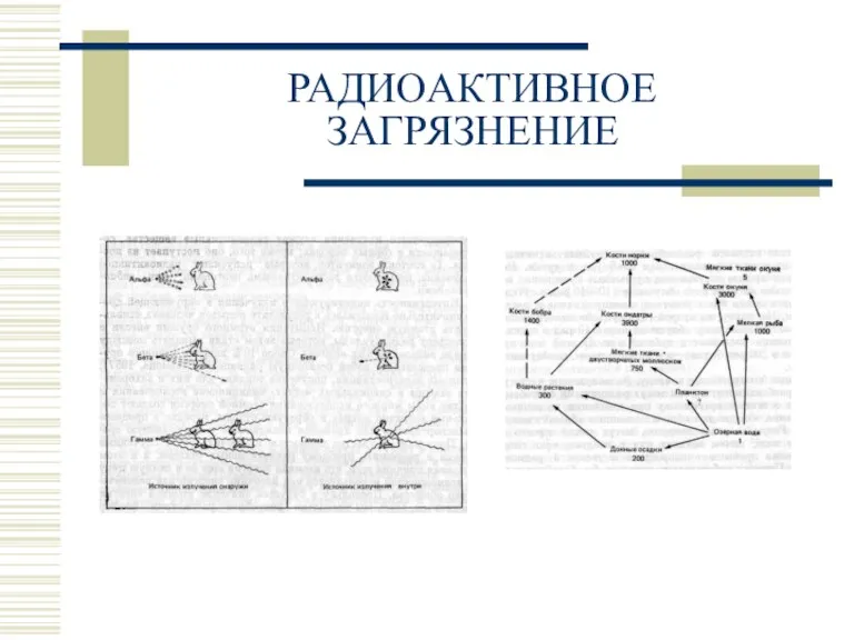 РАДИОАКТИВНОЕ ЗАГРЯЗНЕНИЕ