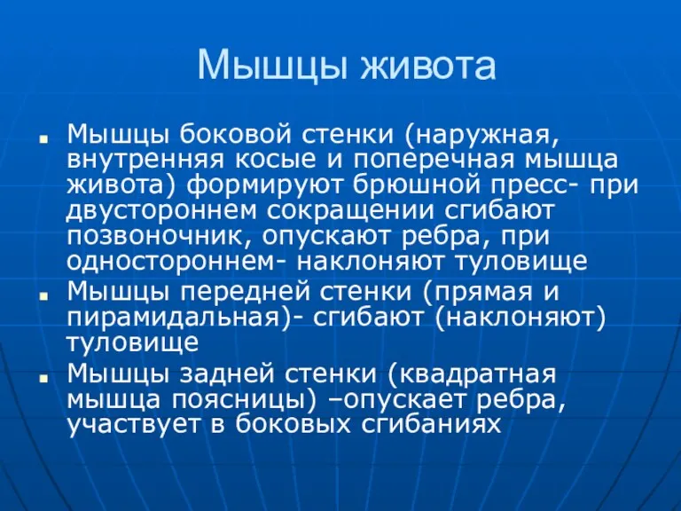 Мышцы живота Мышцы боковой стенки (наружная, внутренняя косые и поперечная