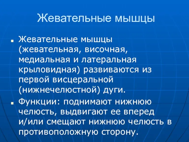 Жевательные мышцы Жевательные мышцы (жевательная, височная, медиальная и латеральная крыловидная)