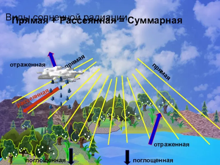 Виды солнечной радиации поглощенная отраженная рассеянная отраженная поглощенная прямая прямая Прямая + Рассеянная = Суммарная