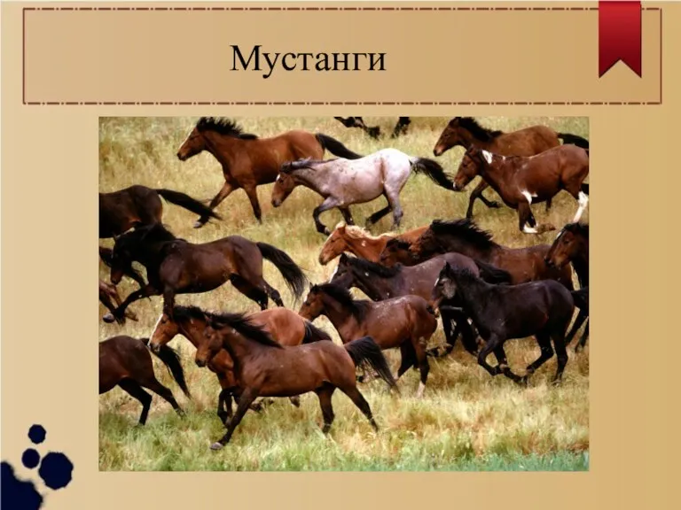 Мустанги