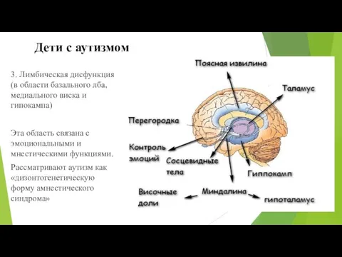 3. Лимбическая дисфункция (в области базального лба, медиального виска и гипокампа) Эта область