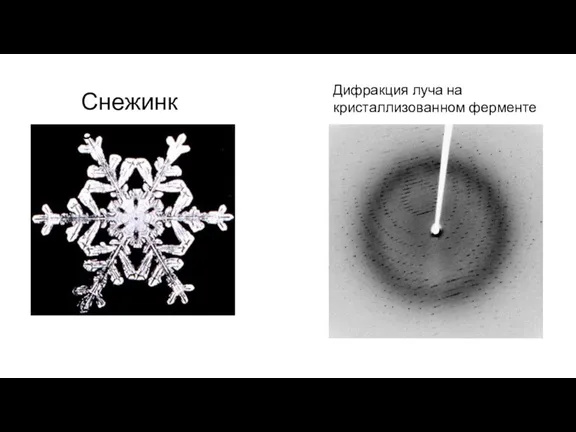 Снежинка Дифракция луча на кристаллизованном ферменте