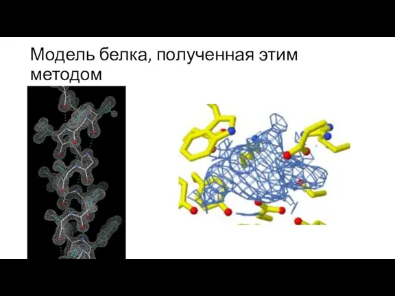 Модель белка, полученная этим методом