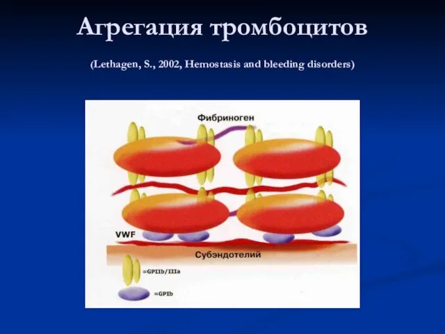 Агрегация тромбоцитов (Lethagen, S., 2002, Hemostasis and bleeding disorders)
