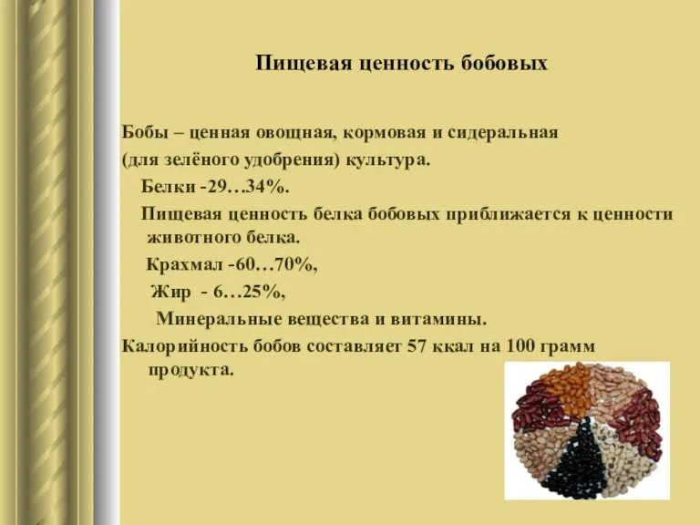 Пищевая ценность бобовых Бобы – ценная овощная, кормовая и сидеральная