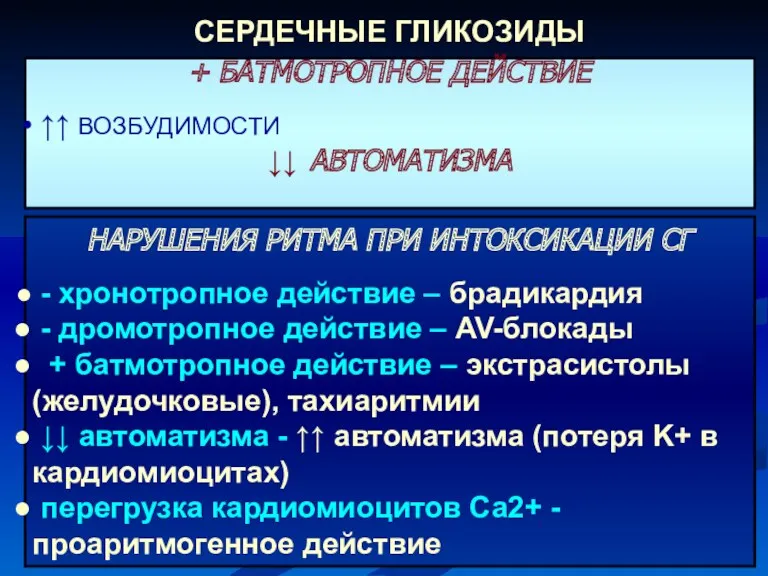 + БАТМОТРОПНОЕ ДЕЙСТВИЕ ↑↑ ВОЗБУДИМОСТИ ↓↓ АВТОМАТИЗМА СЕРДЕЧНЫЕ ГЛИКОЗИДЫ НАРУШЕНИЯ