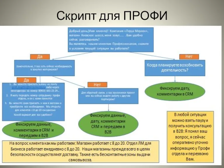 Скрипт для ПРОФИ