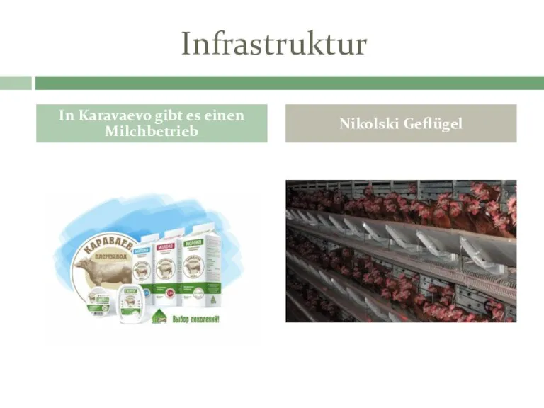 Infrastruktur In Karavaevo gibt es einen Milchbetrieb Nikolski Geflügel