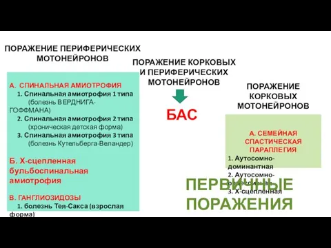 А. СПИНАЛЬНАЯ АМИОТРОФИЯ 1. Спинальная амиотрофия 1 типа (болезнь ВЕРДНИГА-ГОФФМАНА)