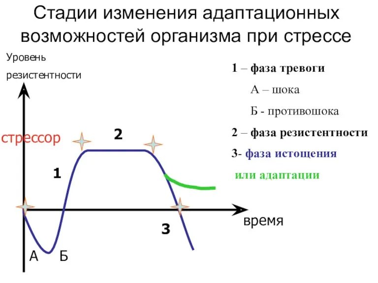 Стадии изменения адаптационных возможностей организма при стрессе время Уровень резистентности