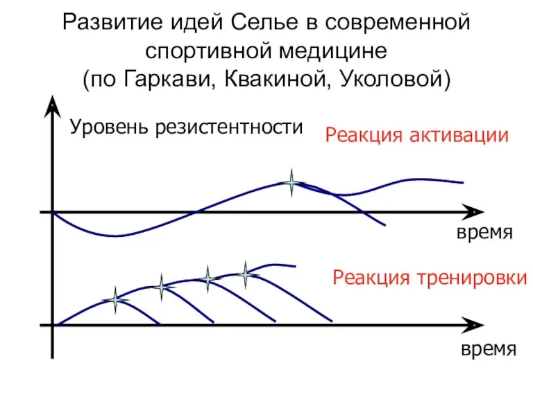 Развитие идей Селье в современной спортивной медицине (по Гаркави, Квакиной,