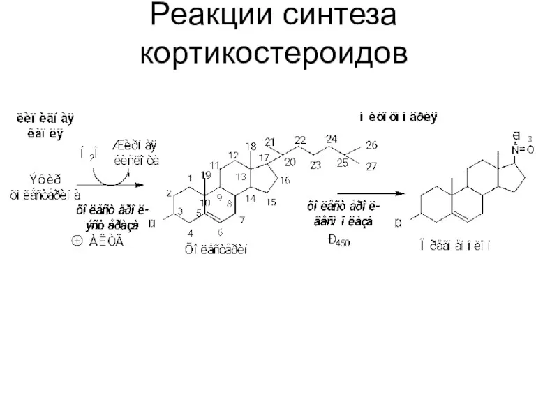 Реакции синтеза кортикостероидов