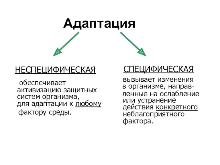 Адаптация СПЕЦИФИЧЕСКАЯ НЕСПЕЦИФИЧЕСКАЯ вызывает изменения в организме, направ- ленные на